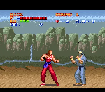 Ultimate Fighter (USA) screen shot game playing